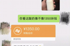 姜堰为什么选择专业追讨公司来处理您的债务纠纷？